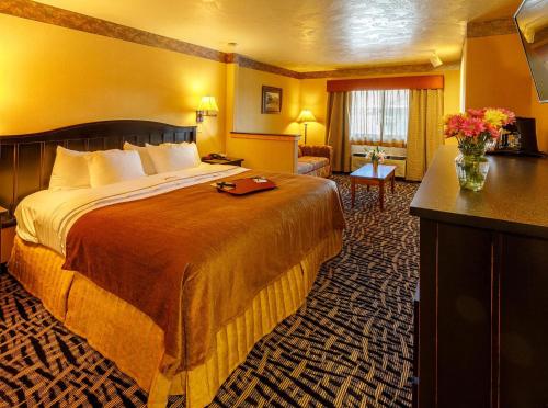 49'er Inn & Suites, Jackson (fotografie 7)