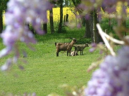 Maison Prairie Bonheur