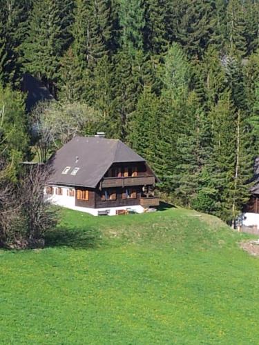 Schweighofers Almhaus in Heilbrunn, Österreich