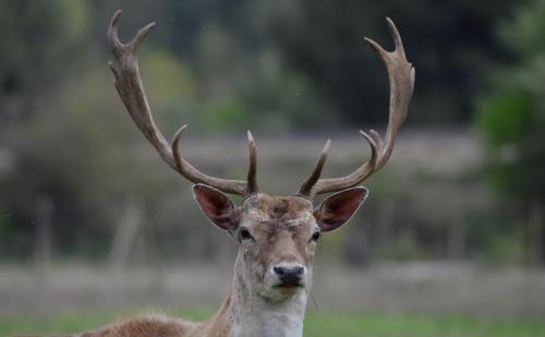 Domaine Shambala - Accommodation - Velaux