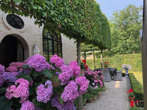 B&B Villa Vauban - image 8
