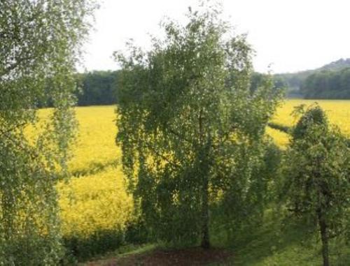 Domaine de Gondrange - Chambres d'Hôtes