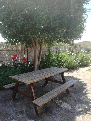 Casa Los Olivos - Arnedo
