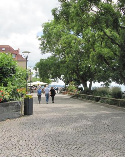 K-Hotel (Grüner Baum) - image 7