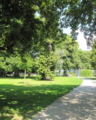 K-Hotel (Grüner Baum) - image 12