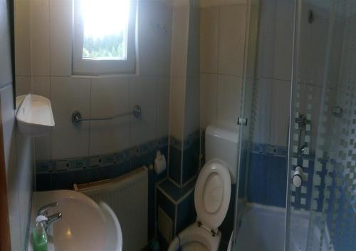 Casa Strugurel - image 6