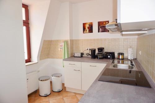 Manitius 9, DD-Friedrichstadt (Zentrumsnah), Drážďany (fotografie 8)