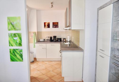 Manitius 9, DD-Friedrichstadt (Zentrumsnah), Drážďany (fotografie 7)
