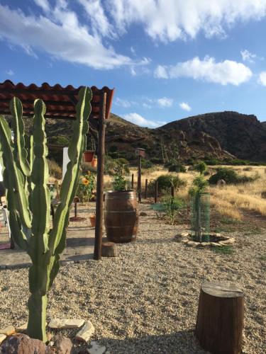 La Belleza de Rodalquilar in Adra