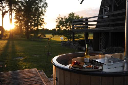 Windmill - Summer house in Kivi