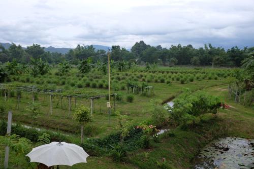 Rai Boonsom Rai Boonsom