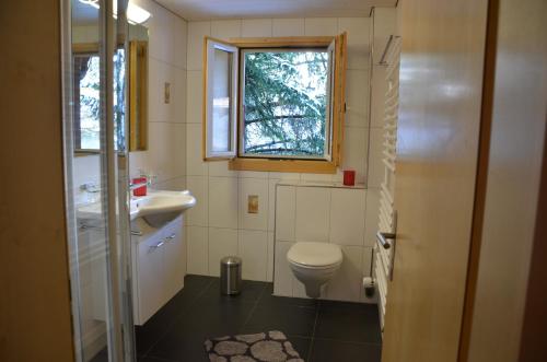 Apartments Chalet Tatyana - image 12