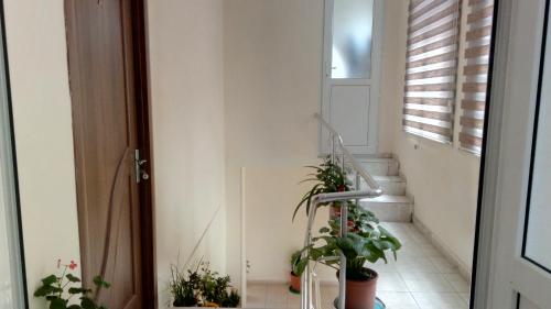 Sheki Guest House in Sheki