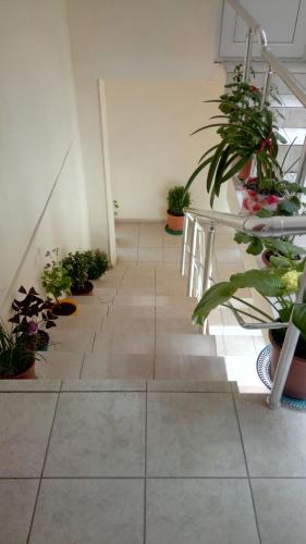 Sheki Guest House in Sheki
