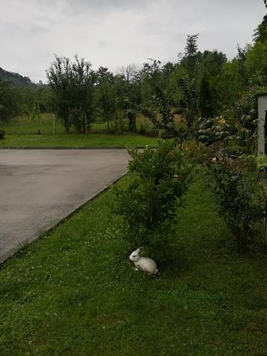 Guest House Balkanski Kat - image 4