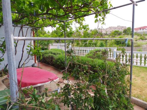  Apartments Cesarica/Velebit Riviera 34610 in Cesarica