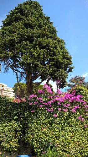 SANREMO ART & DESIGN