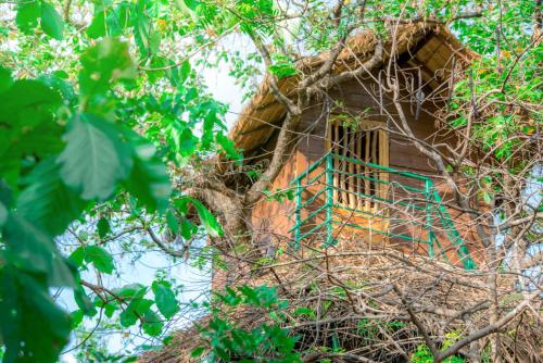 外部景觀, Wildescape Polonnaruwa in 哈巴拉娜/波隆納魯瓦