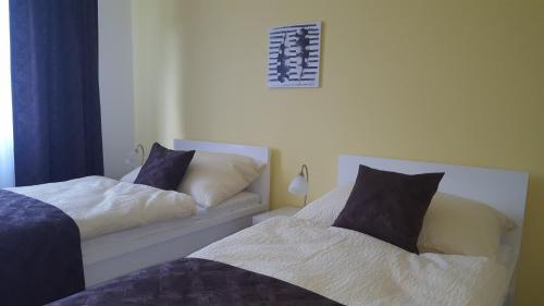 Apartmá Andělka - Apartment - Lipova Lazne