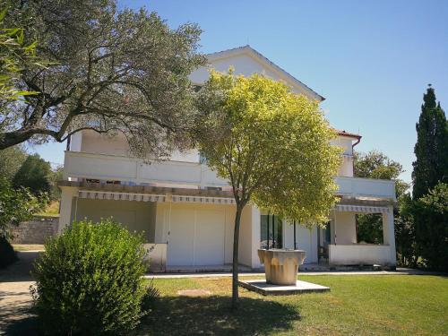  Family Friendly Apartments Island RAB in Kampor