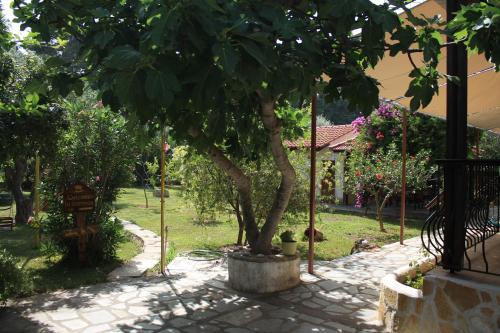 Joanna's Studios - image 6
