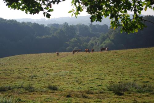 La Caleche gîte à louer Bussière-Badil