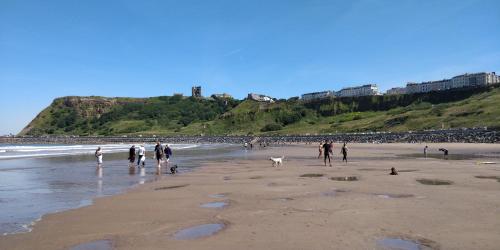Beach, Areawest  in Scarborough