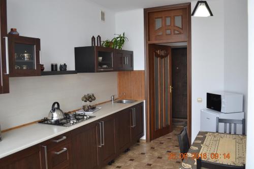 Sunny apartment in the city Center in Truskavets