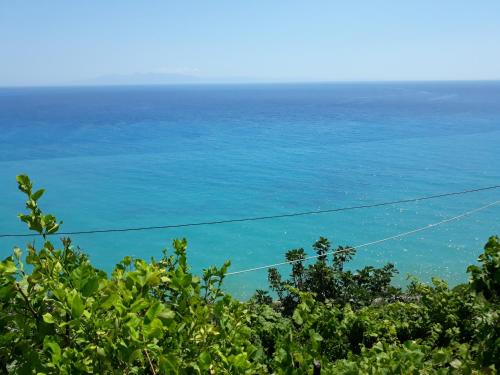 Blue View - image 14