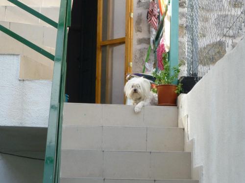 Cosy accommodation in the center of Split, Split (photo 4)