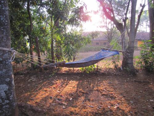 puutarha, SALEM Eco-Lodge & Guesthouse in Mbale