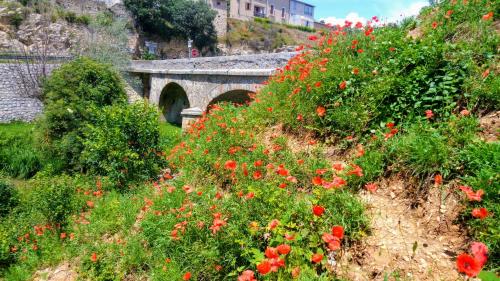 Omgeving, Chez Gilles Math in Valensole