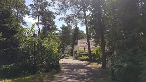 wittebergen25 - image 10