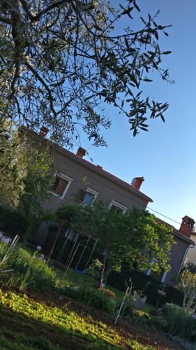  Apartman Lovor in Medulin