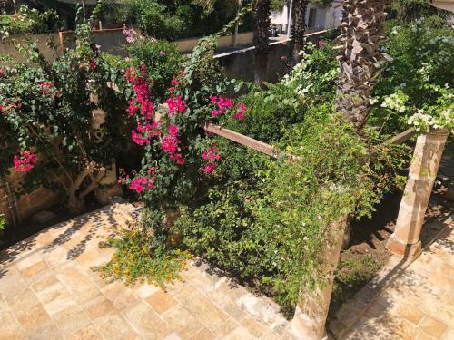 B. & B. Lu Turnitu, Maruggio (fotografie 7)