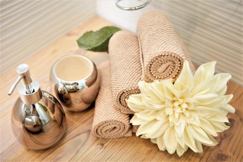 Splendid Apartment Vienna - image 10