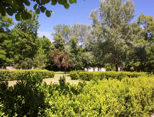 Hostellerie le Clos du Cher - image 11