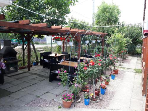 Camere de inchiriat Doriana in 瓦馬韋切
