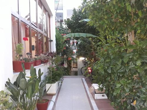  Anthi Katerina Rooms, Pension in Platanias