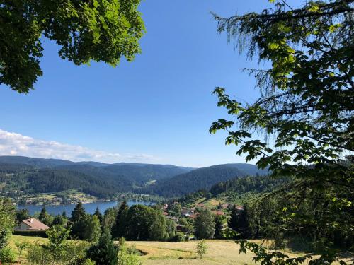 Gerardmer : Residence 'l'eau vive'