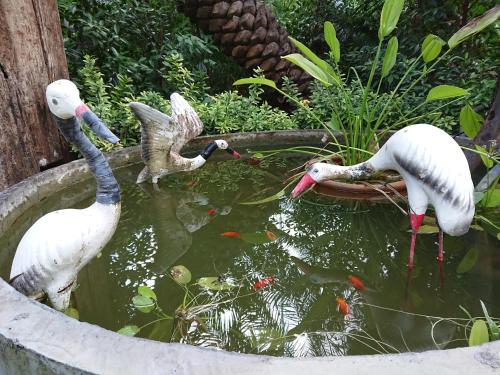 Lopburi Palm Resort