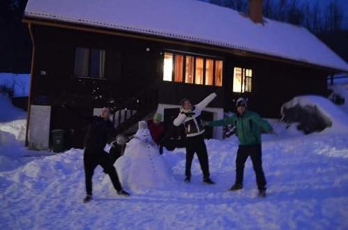  Holiday house with a parking space Mrkopalj (Gorski kotar) - 15829, Unterkunft in Mrkopalj