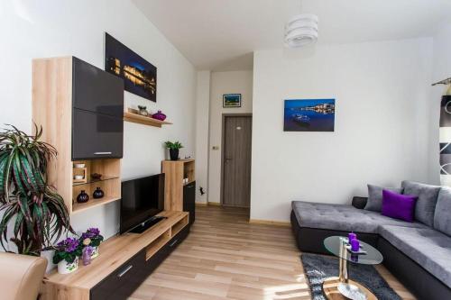 One-Bedroom Apartment image 2
