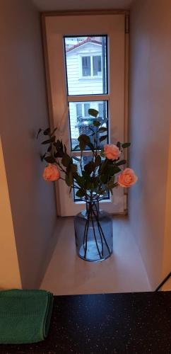 斯库特维肯40号公寓 斯库特维肯40号公寓