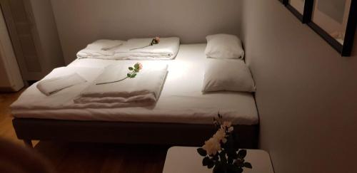 斯库特维肯40号公寓 斯库特维肯40号公寓