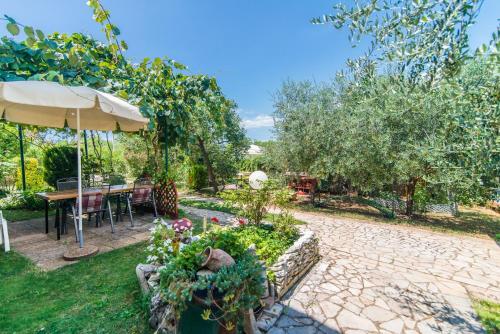  Apartment Teri in Nova Vas