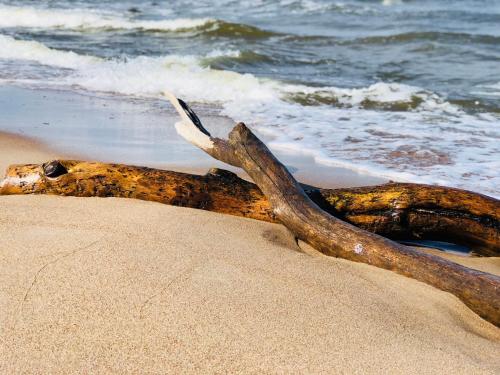 Karkle Twins Karkle Twins