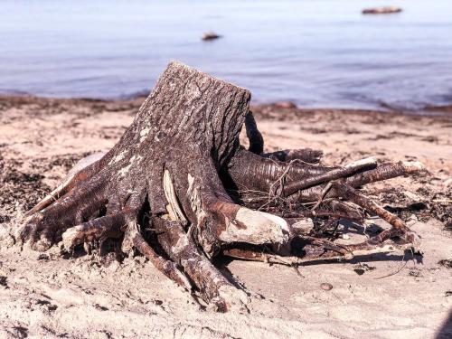 Karkle Twins Karkle Twins