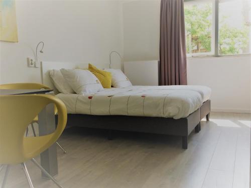 Bed & Breakfast Haarlem 49