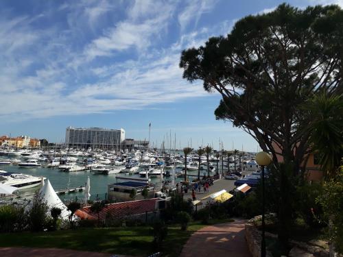 Sol Nascente- Piscina Wifi Familiar - main image